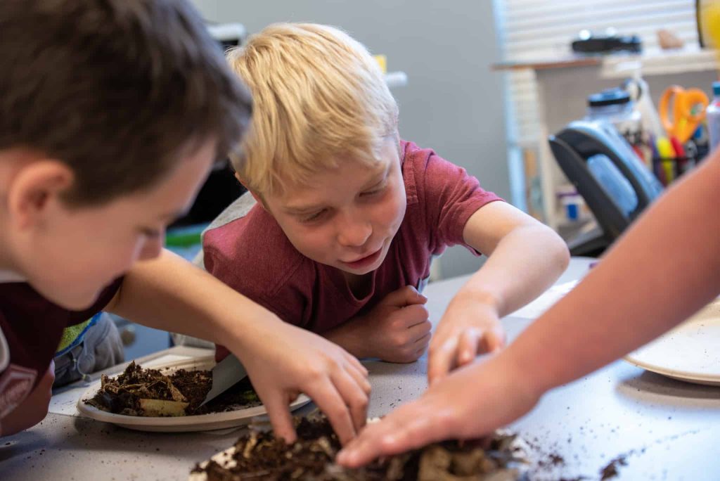 Boy in center of photo leaning across table and touching dirt with worms in it with his hands. A male student on his left has his hands in the dirt too. 