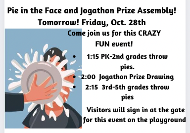 pie in the face flyer