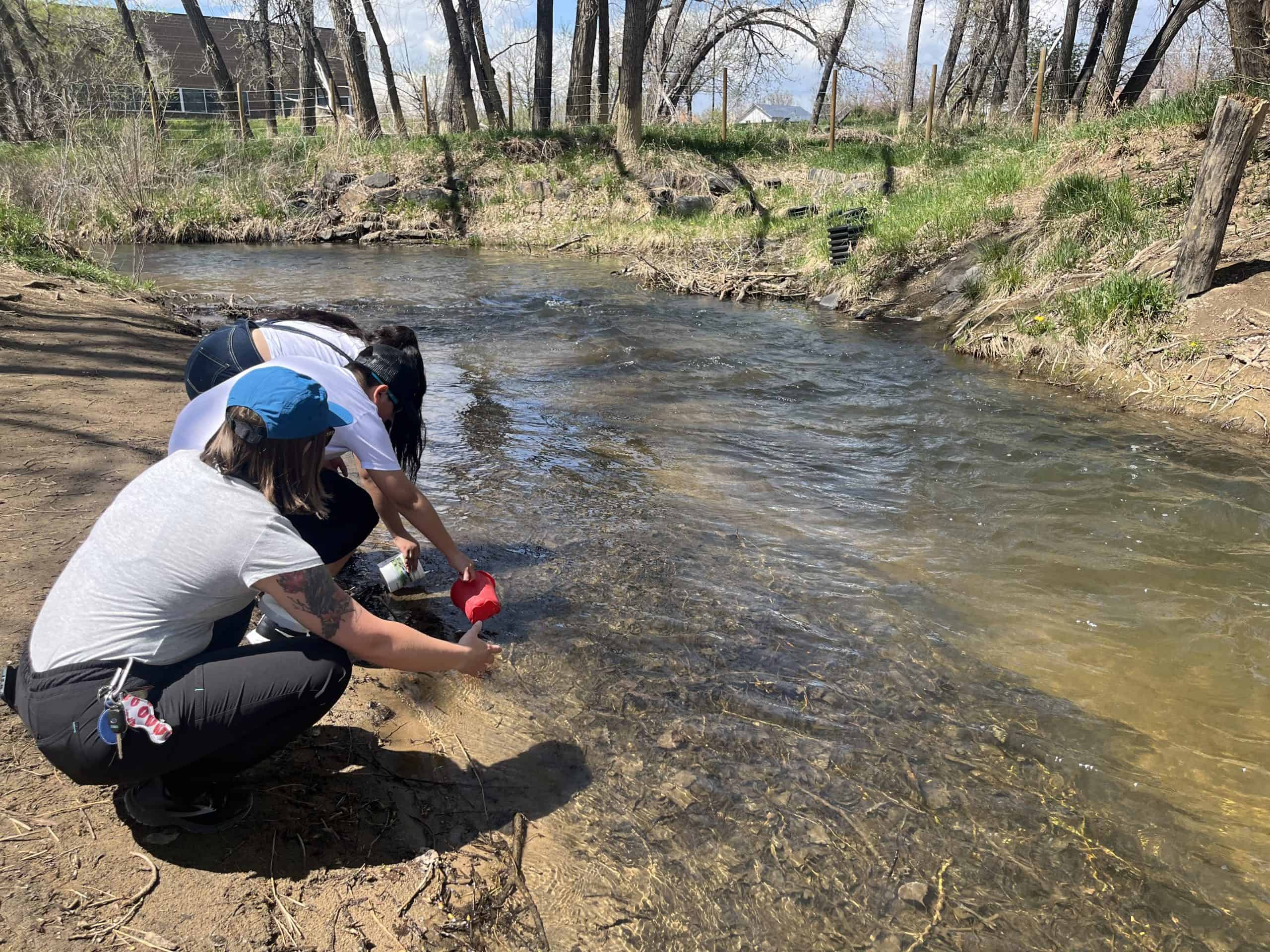 Two students and a teacher squatting down next to river collecting water samples in a cup.